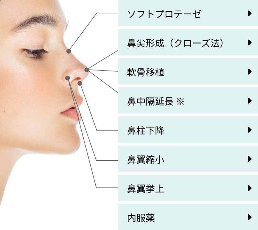 鼻フル整形セット内容