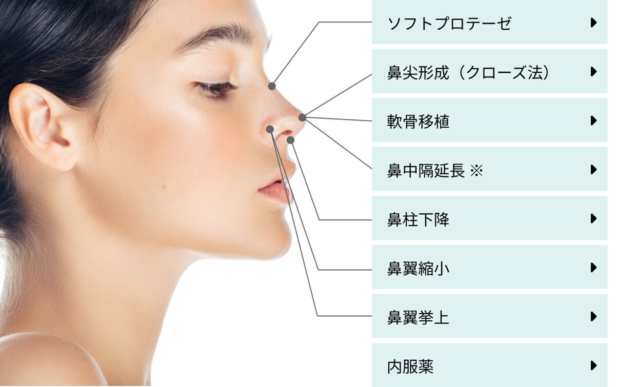 鼻フル整形セット内容